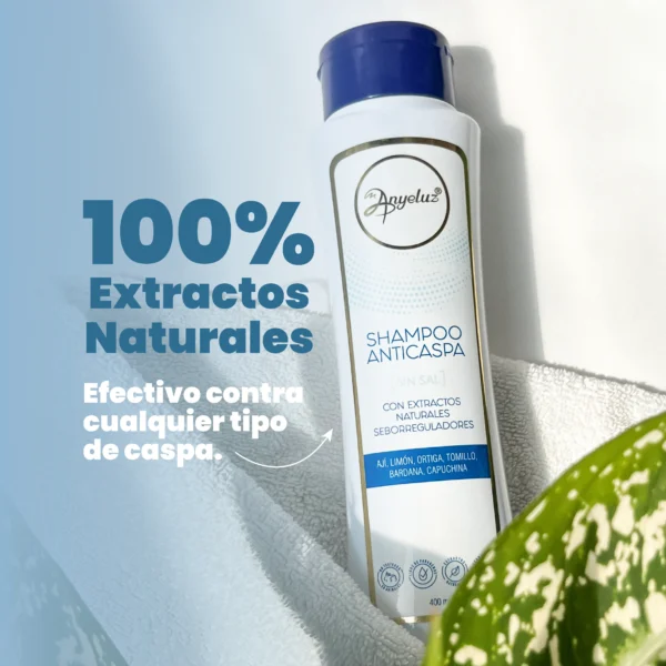 shampoo anticaspa - Image 3
