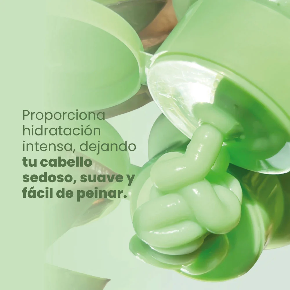 ACONDICIONADOR ALOE VERA GINSENG Y ARGAN DE ANYELUZ - Image 3